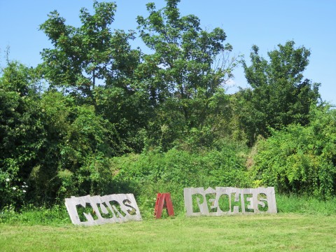 prairie murs à pêche