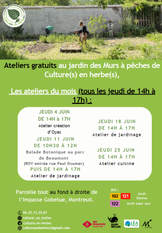 Atelier cultures en herbes