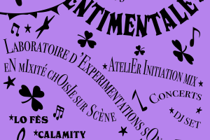 Frappe Sentimentale - ateliers / jam / concerts / DJ set